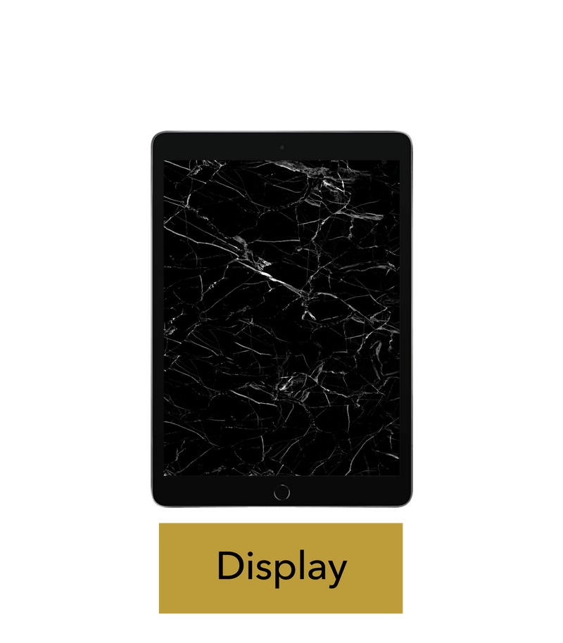 iPad Air 2 Reparatur: Glas + Touchscreen + LCD Display
