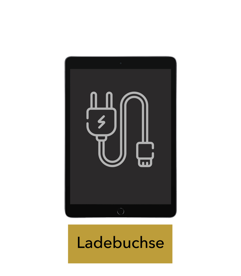 iPad 3 Reparatur: Ladebuchse / Ladeport