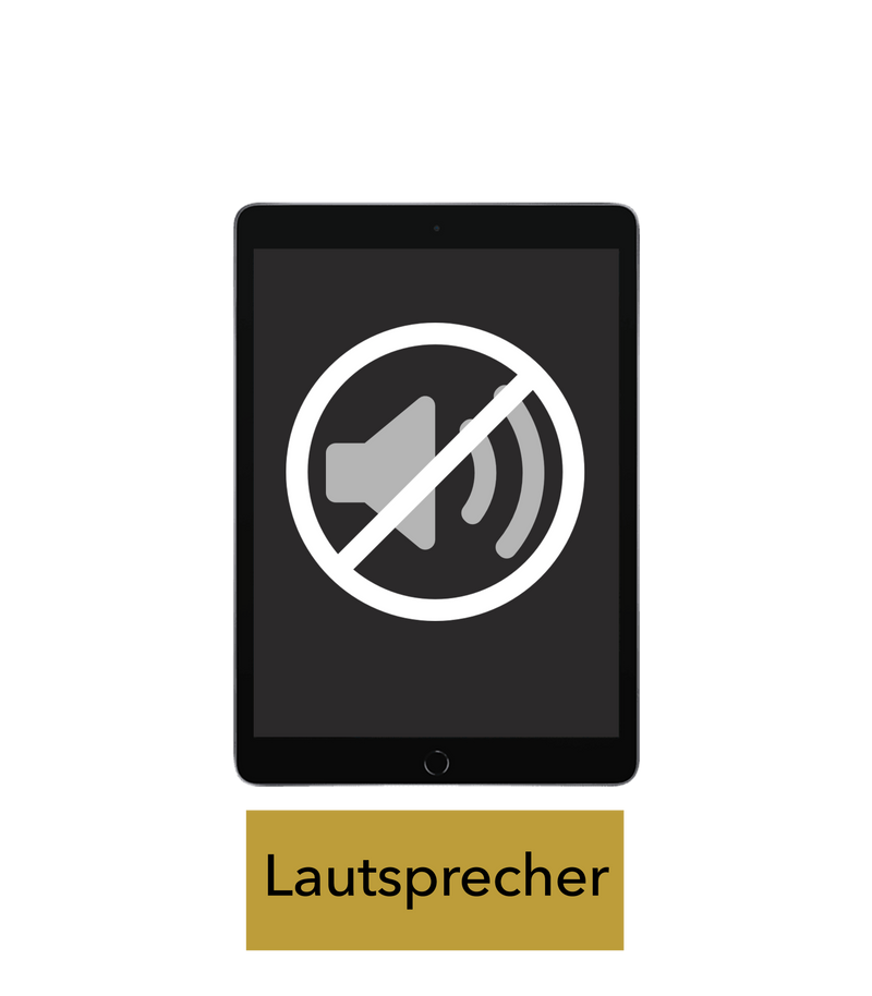 iPad 4 Reparatur: Lautsprecher