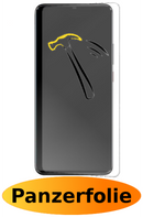 Huawei Mate 20 Pro Panzerfolie